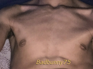 Badbunny75