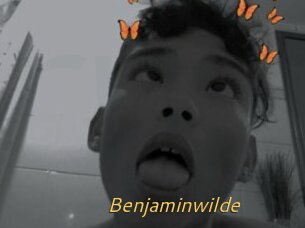 Benjaminwilde