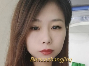 Bericezhangjing
