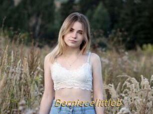 Berniecelittleb