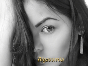 Bigassmia