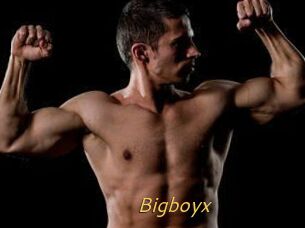 Bigboyx
