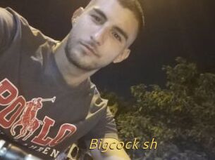 Bigcock_sh