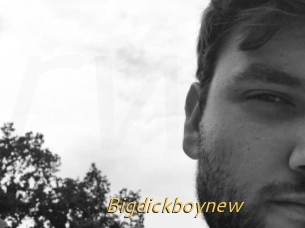 Bigdickboynew