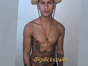 Bigdicksnake