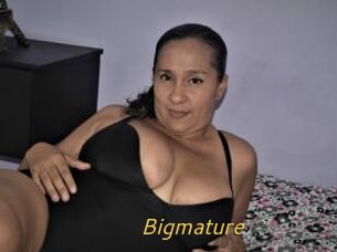 Bigmature