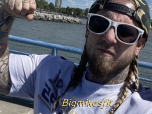 Bigmikesfit