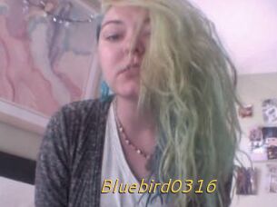 Bluebird0316