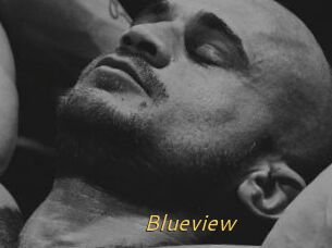Blueview