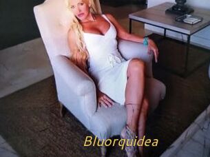 Bluorquidea