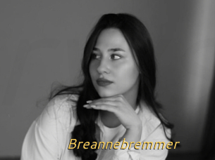 Breannebremmer