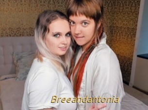 Breeandantonia
