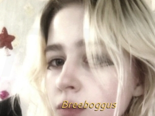 Breeboggus