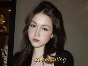 Breebolling