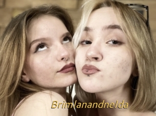 Brimlanandnelda
