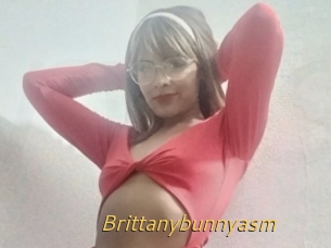 Brittanybunnyasm