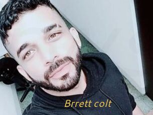 Brrett_colt