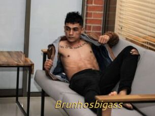 Brunhosbigass