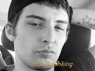 Budkushking