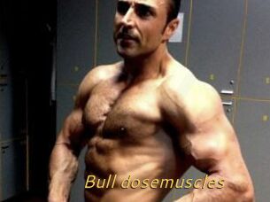 Bull_dosemuscles