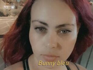 Bunny_bleu