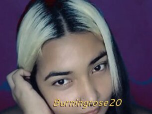 Burningrose20