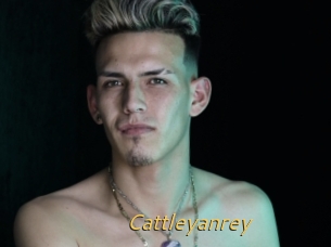 Cattleyanrey