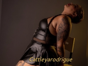 Cattleyarodrigue