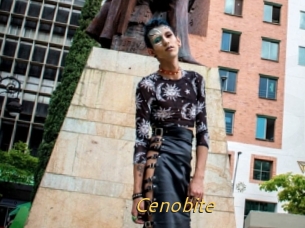 Cenobite