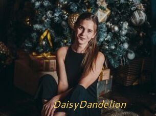 DaisyDandelion