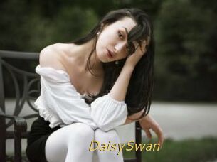 DaisySwan