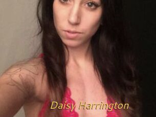 Daisy_Harrington