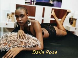 Dalia_Rose