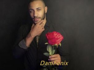 DamFenix