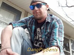 DangPigBenis
