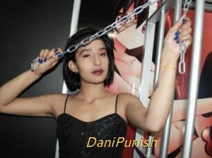 DaniPunish