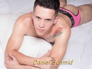 Daniel_Schmid