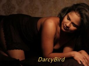 DarcyBird