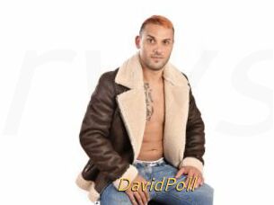 DavidPoll