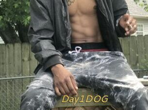 Day1DOG
