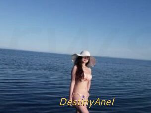 DestinyAnel