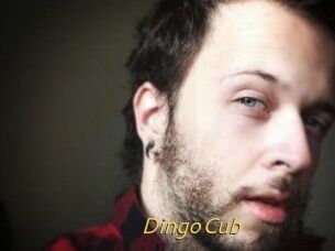 DingoCub