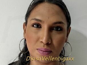 DiosaVellenbigaxx