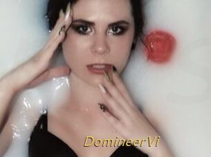 DomineerVi