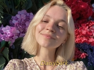 Daisybark