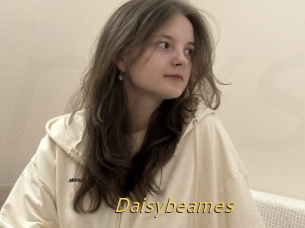 Daisybeames