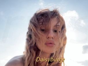 Daisyburge