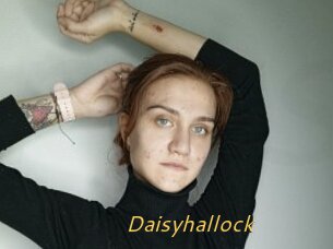 Daisyhallock