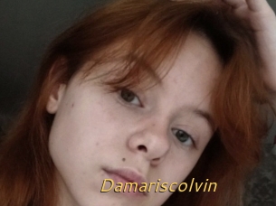 Damariscolvin