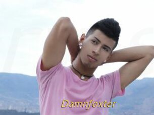 Damnfoxter